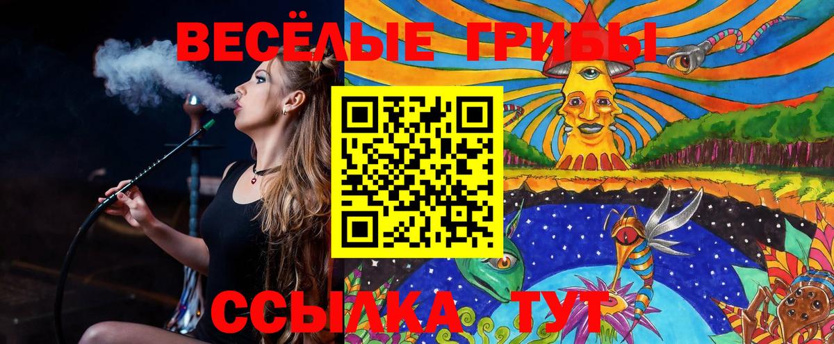 Галлюциногенные грибы GOLDEN TEACHER  Вход с VPN  Котовск 